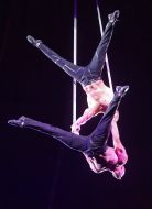 Air Gymnasts on Belts