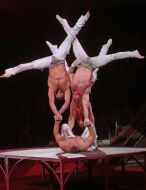 Acrobatic Quartet Room