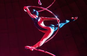 The number "Cats on the original requisite"