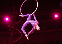 The number "Cats on the original requisite"