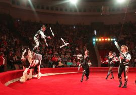 Joggler's Horses Room