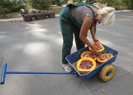 A zoo employee holds a pumpkin