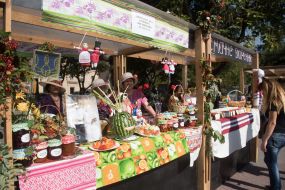 Homemade Conservation Festival