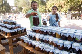 Homemade Conservation Festival