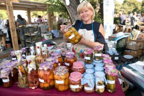 Homemade Conservation Festival