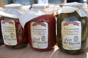 Homemade Conservation Festival