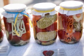 Homemade Conservation Festival