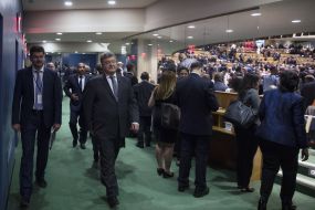 Svyatoslav Tsegolko, Petr Poroshenko