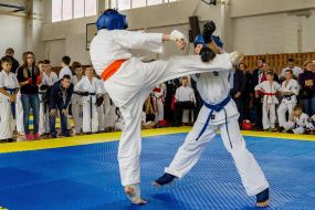 Shidokan Karate Open Cup