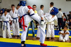 Shidokan Karate Open Cup