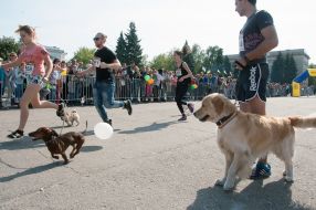Participants of the race with dogs