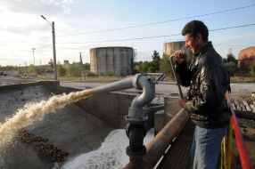 Промывка сахарной свеклы