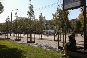 Молодые деревья