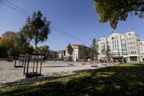 Молодые деревья