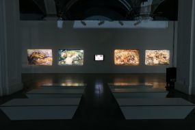 Exhibits of the Festival of Young Ukrainian Artists