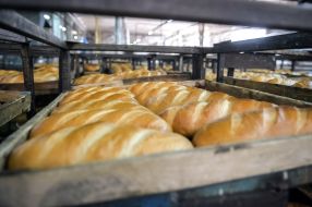 Bread