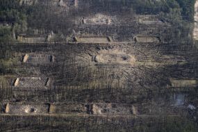 Consequences of ammo explosions