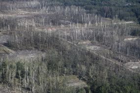 Наслідки вибухів боєприпасів