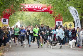 Участники забега с собаками