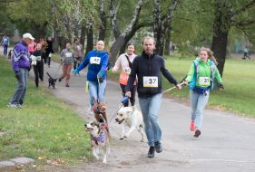 Участники забега с собаками