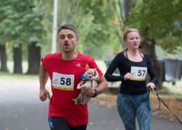 Участники забега с собаками
