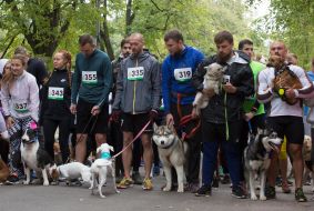 Участники забега с собаками