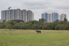 The horse grazes near the new building