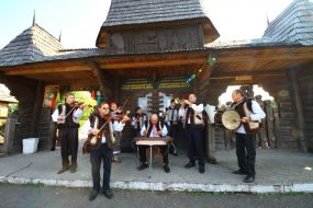Musicians