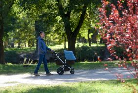 Парк "Дубовый гай" в Запорожье