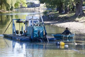 Очистка водоема в парке Запорожья