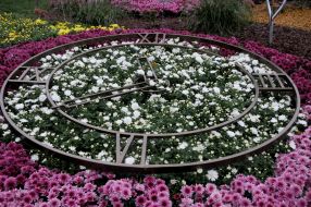 Chrysanthemum Festival "Fantastic History"