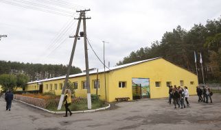 Приют для животных