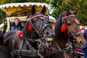 Ethnofestival in the Transcarpathian region