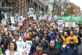 March for animal rights