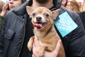 March for animal rights