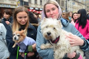 March for animal rights