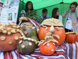 Праздник «День гарбуза»