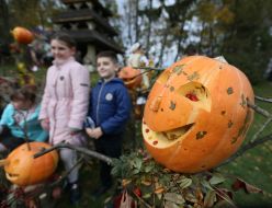 Holiday "Pumpkin Day"