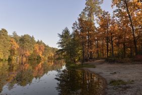 Lake in Puscha-Vodice