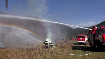 Elimination of forest fires