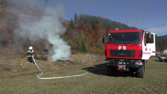 Elimination of forest fires