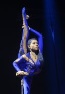 Премьера шоу «Цирк Рекордов»