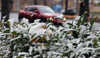 Первый снег в Харькове