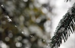 The first snow in Kharkov