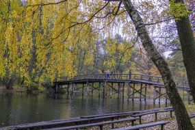 Bridge in the park in Puscha-Voditsa