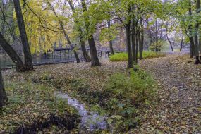 Park in Puscha-Voditsa