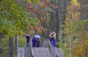 Bridge in the park in Puscha-Voditsa