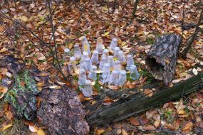 Plastic cups in the park