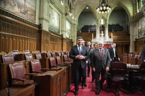 Vladimir Groysman, George Fury