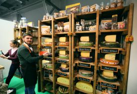 Различные сорта сыра 